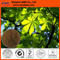 High Quality Horse Chestnut Extract